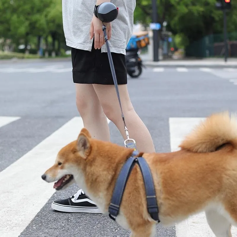 3M Retractable Wrist Pet Leash Nylon