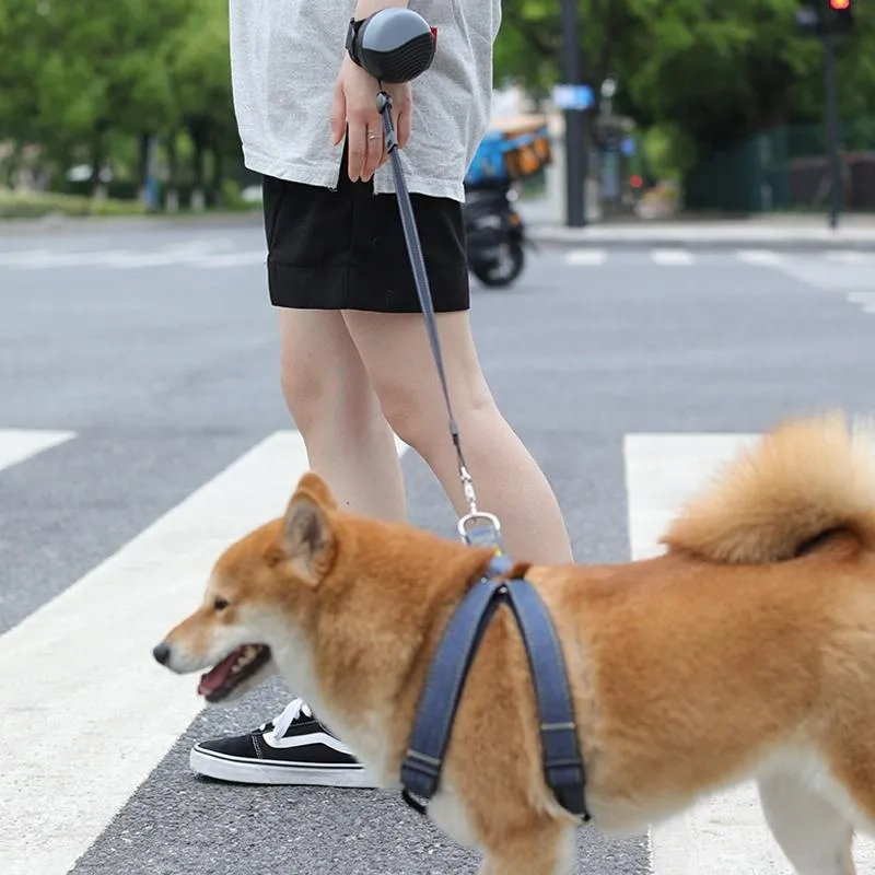 3M Retractable Wrist Pet Leash Nylon