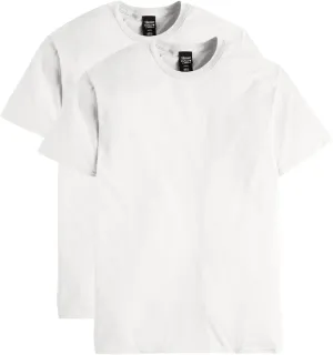 Hanes mens Nano Premium Cotton T-shirt (Pack of 2)