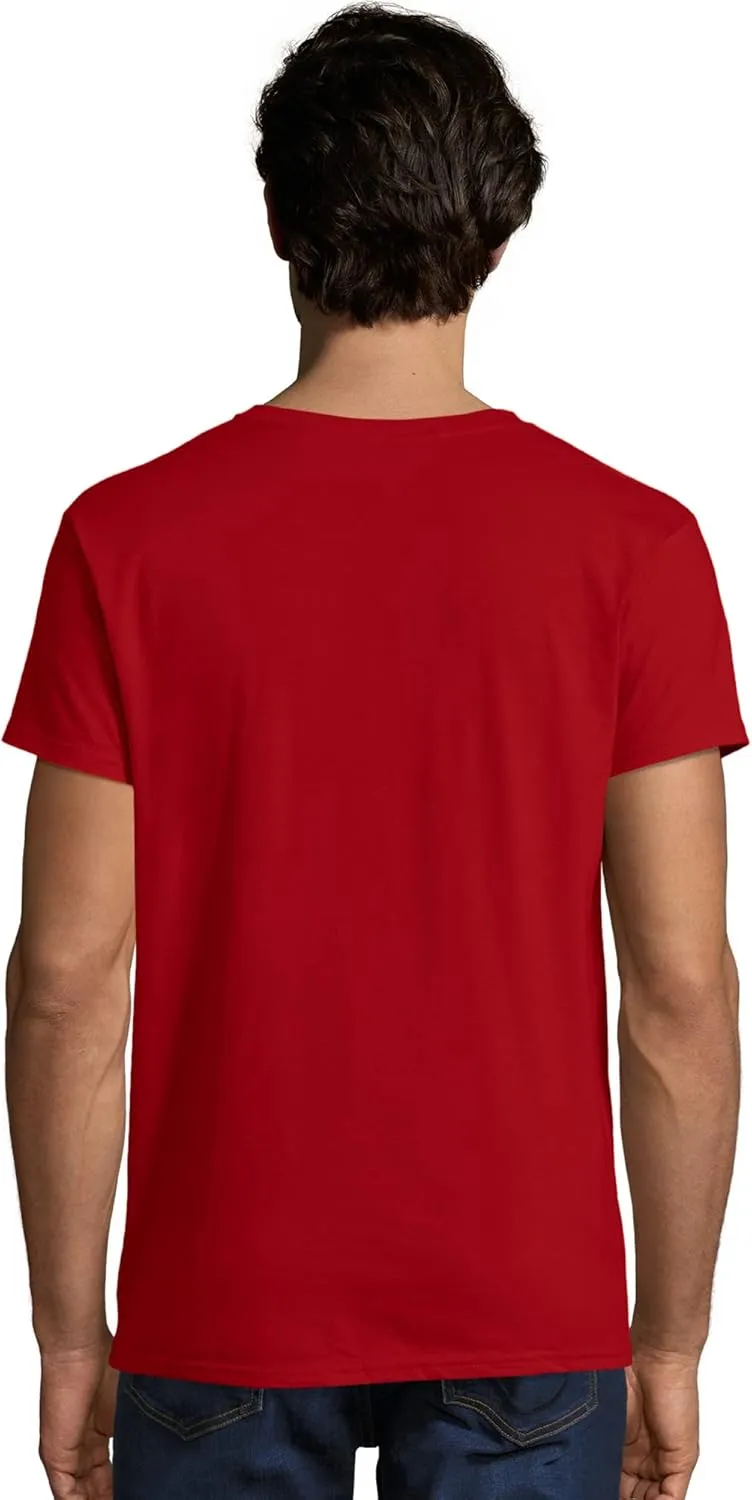 Hanes mens Nano Premium Cotton T-shirt (Pack of 2)