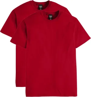 Hanes mens Nano Premium Cotton T-shirt (Pack of 2)