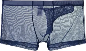 Men's Breathable Mesh Boxer Briefs Underwear Sheer Elephant Nose Boxer Trunks 2025 Date Night Underwear