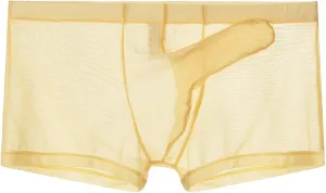 Men's Breathable Mesh Boxer Briefs Underwear Sheer Elephant Nose Boxer Trunks 2025 Date Night Underwear